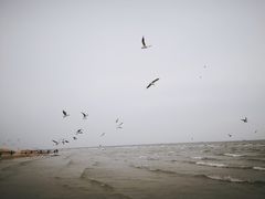 -老虎石海上公园