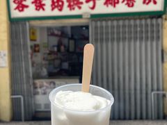 -洪馨椰子