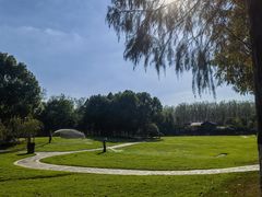 -合肥滨湖国家森林公园