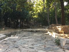 -北京鹫峰国家森林公园