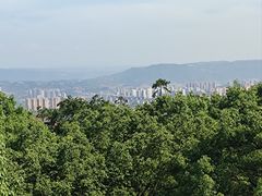 -南山植物园