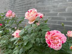 -宛平城
