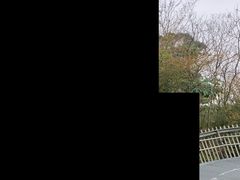-福道