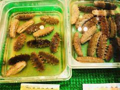 -福来齐·鲁菜海鲜·渔家菜(朝阳街分店)