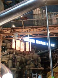 -卡通尼·Safari非洲探索乐园·生日会(金桥国际商业广场店)