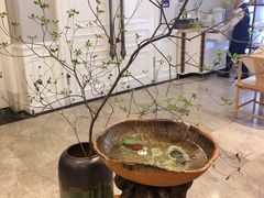 -虹御轩·传承江浙菜(虹桥店)