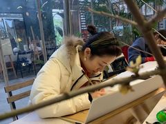 -六出私塾LiuChu•成人美术书法系统课程专业画室(熊婆婆的花园店)