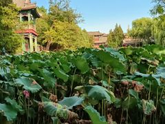 -莲池书院博物馆