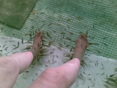 -宝丽金大酒店·洗浴中心
