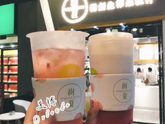 -树夏(鹭洲里店)