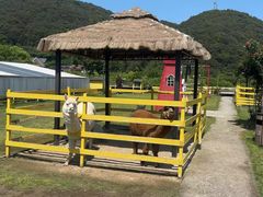 -宁波九龙湖开元度假村