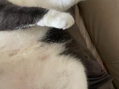 -1013 PET SHOP 宠物商店(近铁城市广场店)