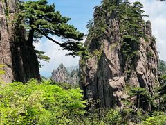 -黄山风景区