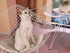 -极木²邸 人与宠物·互动社区