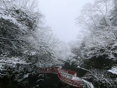 -安吉龙王山风景区