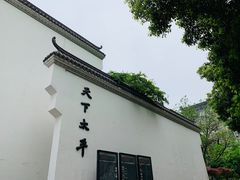 -黑色经典臭豆腐·湖南特产(太平街口店)
