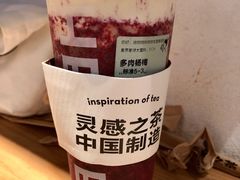 多肉杨梅-喜茶(深圳海岸城店)