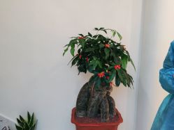 -海涛医疗美容·面部抗衰·注射美鼻