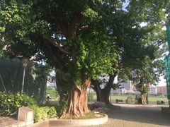 -龙环葡韵住宅式博物馆