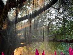 -龙舟池