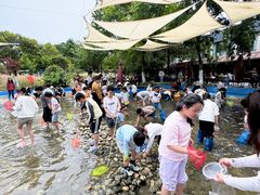-洪湖家庭农场·团建·露营·会议