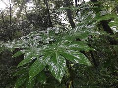 -杭州花家山庄