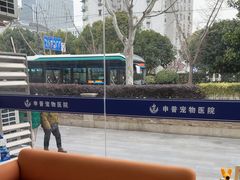 -申普宠物医院·眼科·心内科·影像科(普陀分院)