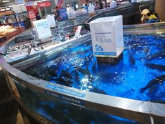 -盒马鲜生(悦峰店)