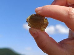 -普陀山风景名胜区-千步大沙