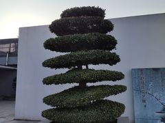 -石家庄市植物园