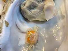 -七裕庄(凯旋南路店)