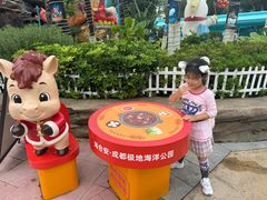 -海合安成都极地海洋公园