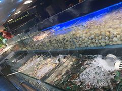 -苏格里岛自助烧烤百汇