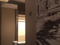 -新加坡瑞士史丹福酒店