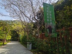 -野象谷景区