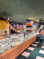-meland亲子乐园(深圳领展中心城店)