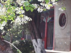 -湛山寺