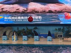 -泉城欧乐堡海洋极地世界