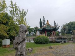 -江心屿景区