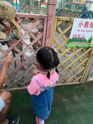 -萌宠亲子动物乐园(槐房万达店)