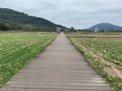 -艾米稻香小镇