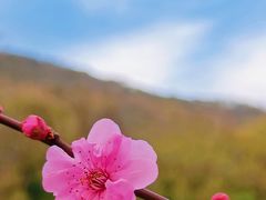 -老山国家森林公园