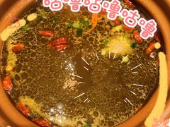 虫草花老鸭汤-不倒翁·安徽名菜楼(步行街店)