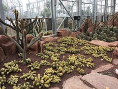 -南通洲际绿博园