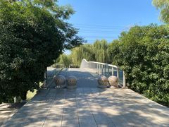 -九里河湿地公园