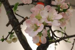 点击看大图 -Y+U遇瑜伽·普拉提