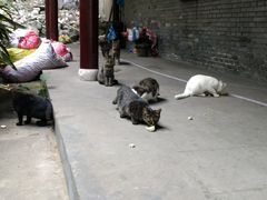 -伯先公园