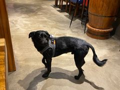 -Cactus墨西哥仙人掌餐厅