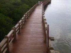 -东寨港红树林旅游区