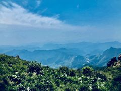 -白草畔自然风景区